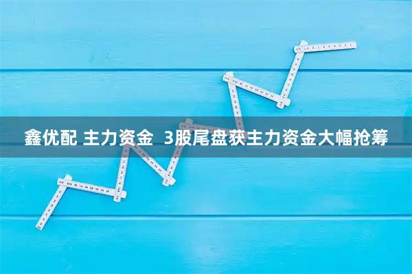 鑫优配 主力资金  3股尾盘获主力资金大幅抢筹